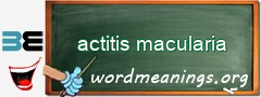 WordMeaning blackboard for actitis macularia